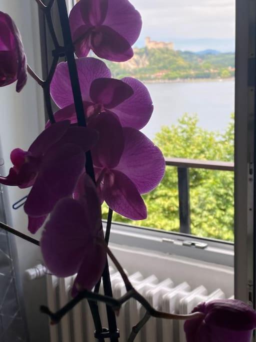 Babalu Con Vista Lago Арона Екстер'єр фото